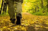 Life is about Choices and the Decisions YOU Make Picture- Cynthia A Copenhaver - Creative Concepts Blog