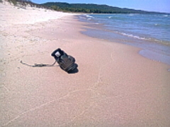 Who set this Goal? not Me! Picture- Cynthia A Copenhaver - Creative Concepts Blog