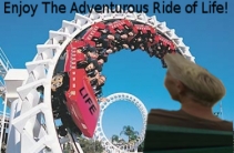 Make the Most of your Time at the fun Park of Life! Picture- Cynthia A copenhaver - Creative Concepts Blog