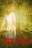 Discovering Peace of Min in 3 Simple Steps Picture- Cynthia A Copenhaver - Creative Concepts Blog