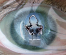 What if you could peer within to others thoughts? Picture - Cynthia A Copenhaver - Creative Concepts Blog