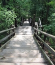 Look Back at How many Step You Have already overcome! Picture - Cynthia A Copenhaver- Creative Concepts Blog